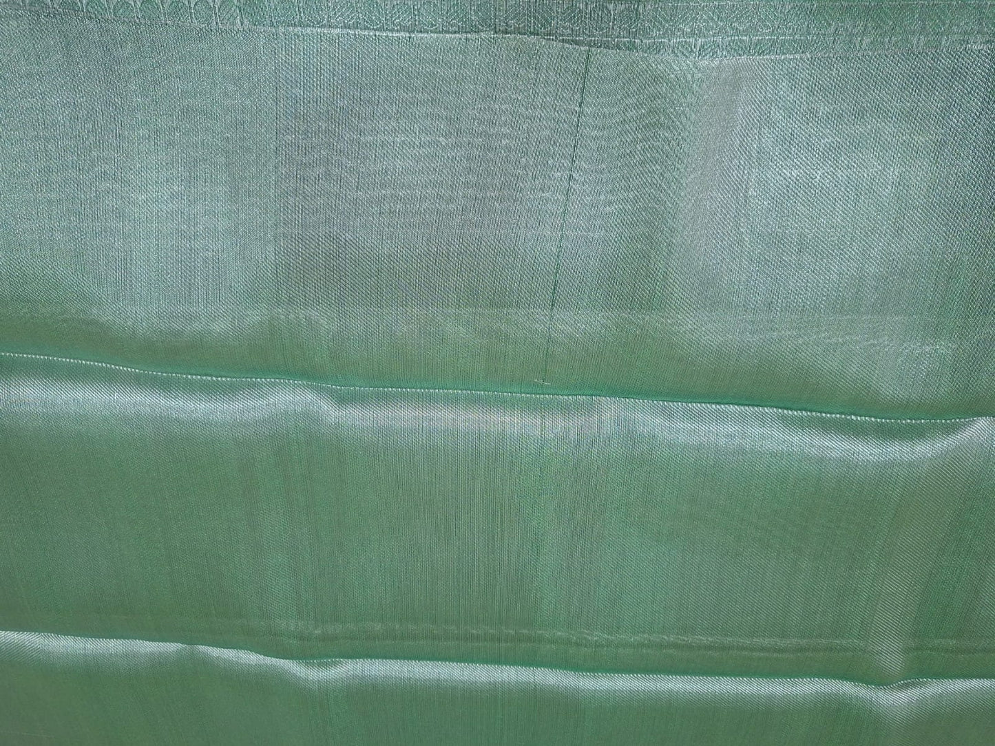 green tissue with brocade saree