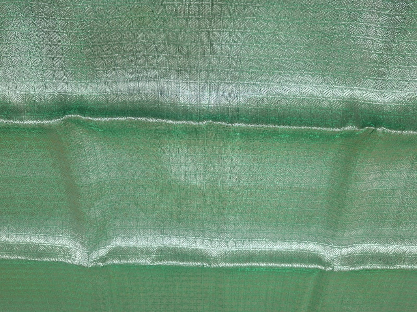 green tissue with brocade saree